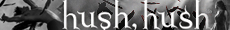 Hush, Hush by Becca Fitzpatrick